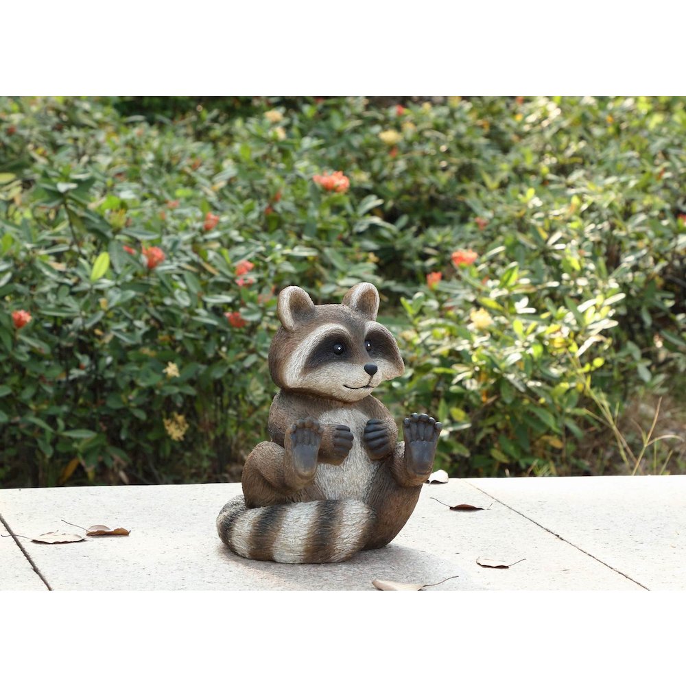 Racoon Sitting. Picture 5