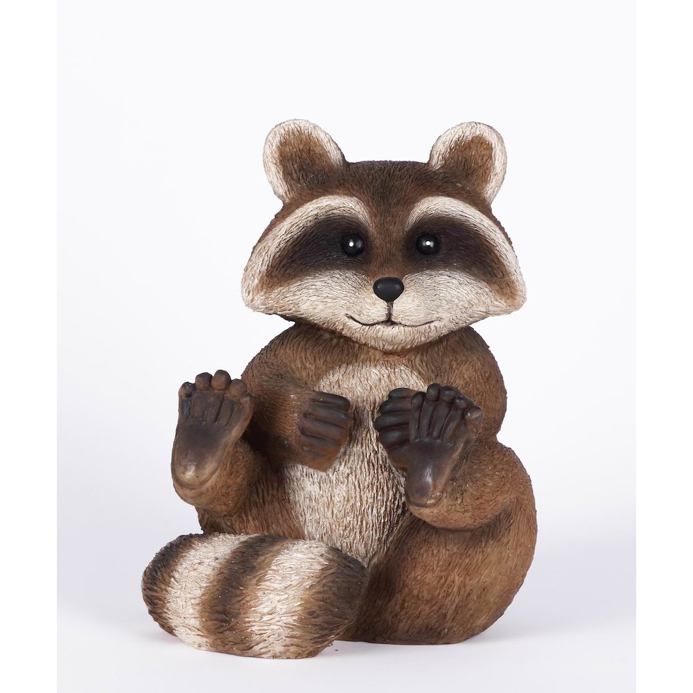Racoon Sitting. Picture 2