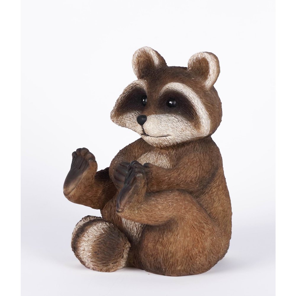 Racoon Sitting. Picture 4