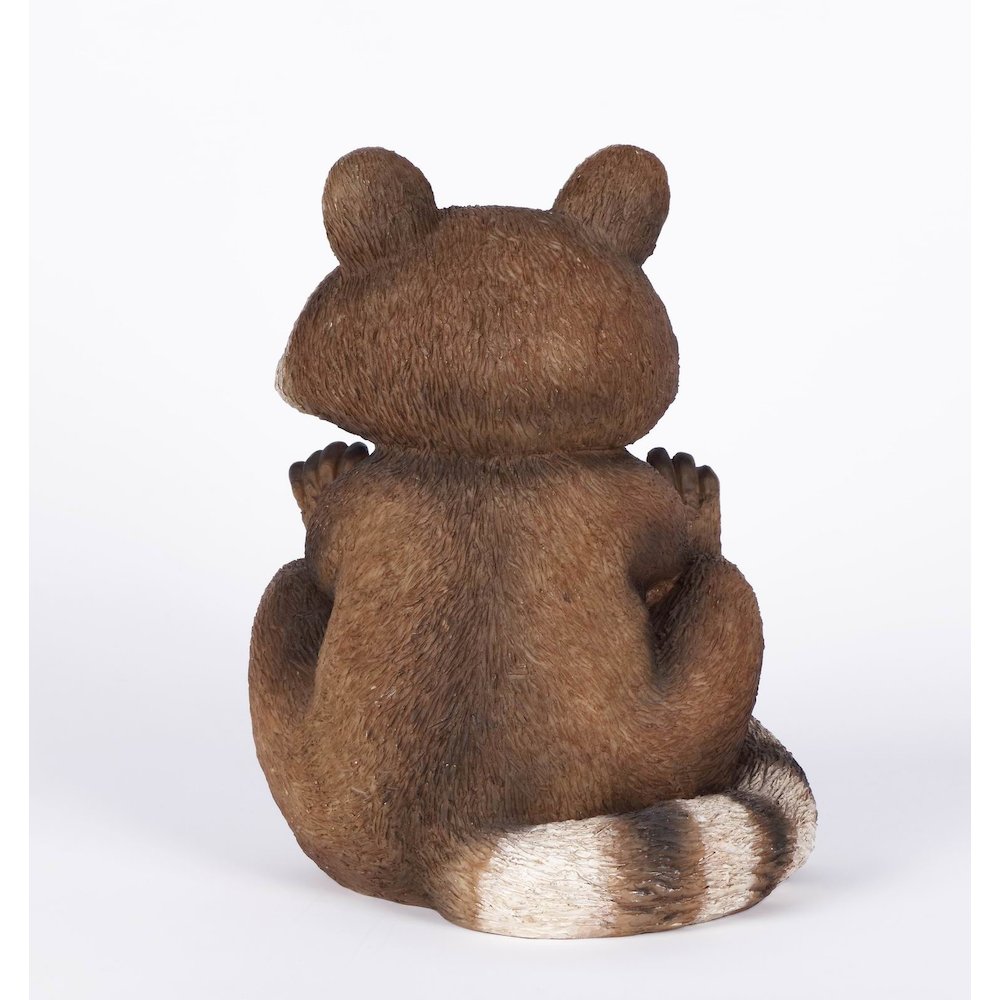 Racoon Sitting. Picture 3