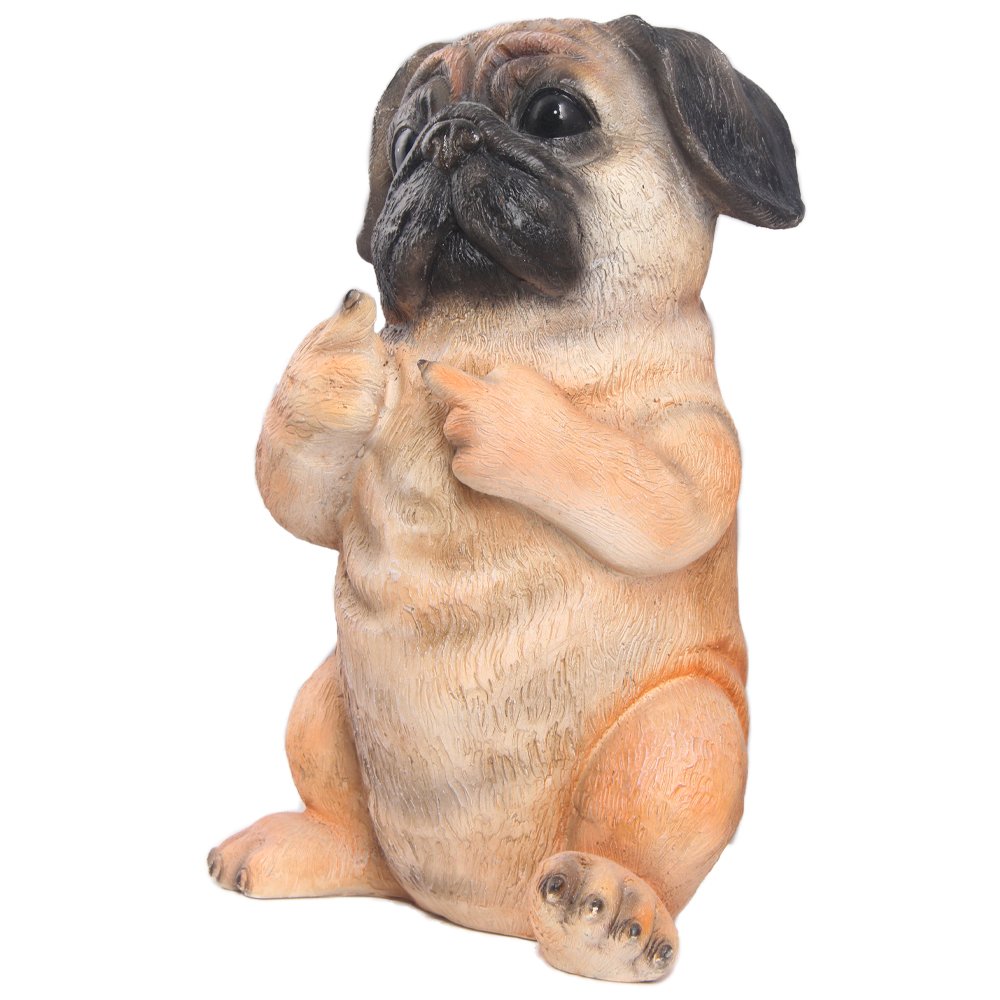 Pug Puppy Sitting. Picture 4