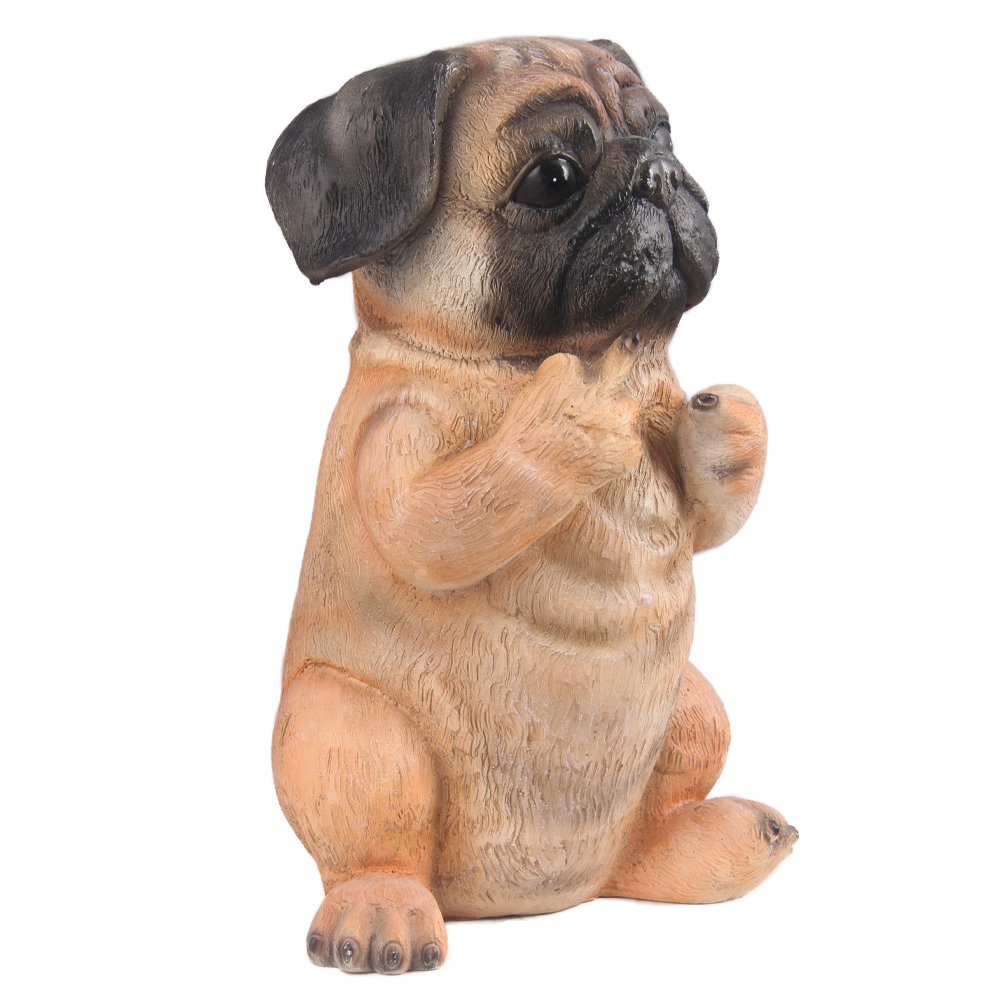 Pug Puppy Sitting. Picture 3