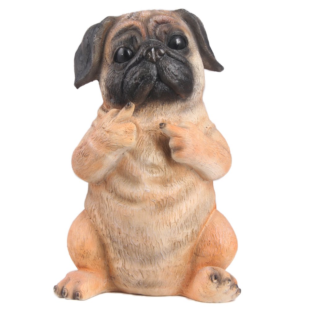 Pug Puppy Sitting. Picture 2