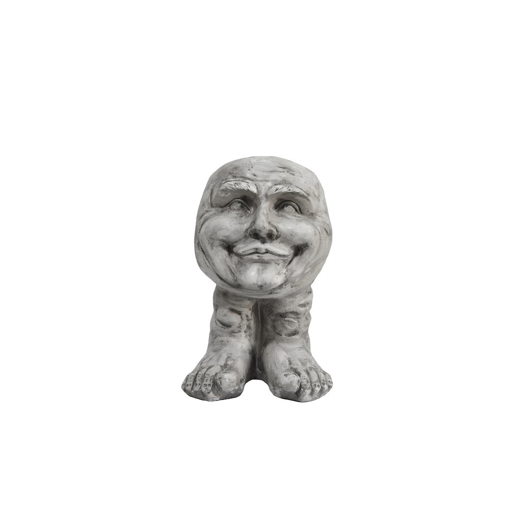 Joyful Grin: Whimsical Elegance in a Planter. Picture 1