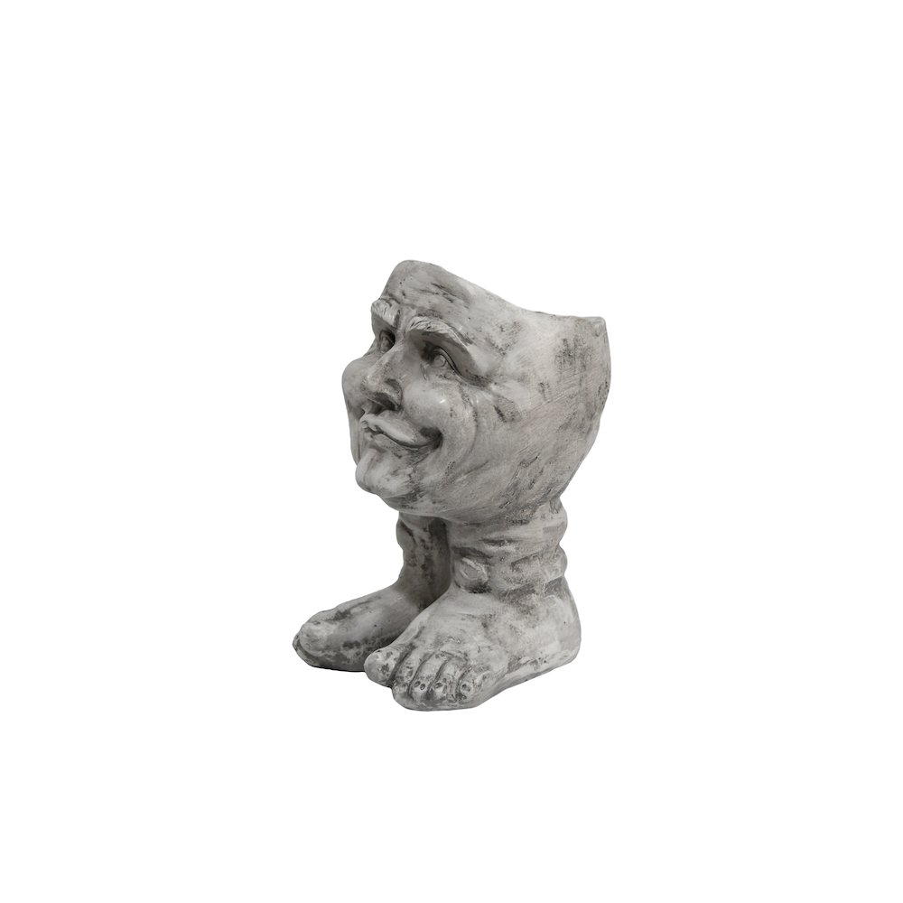 Joyful Grin: Whimsical Elegance in a Planter. Picture 4