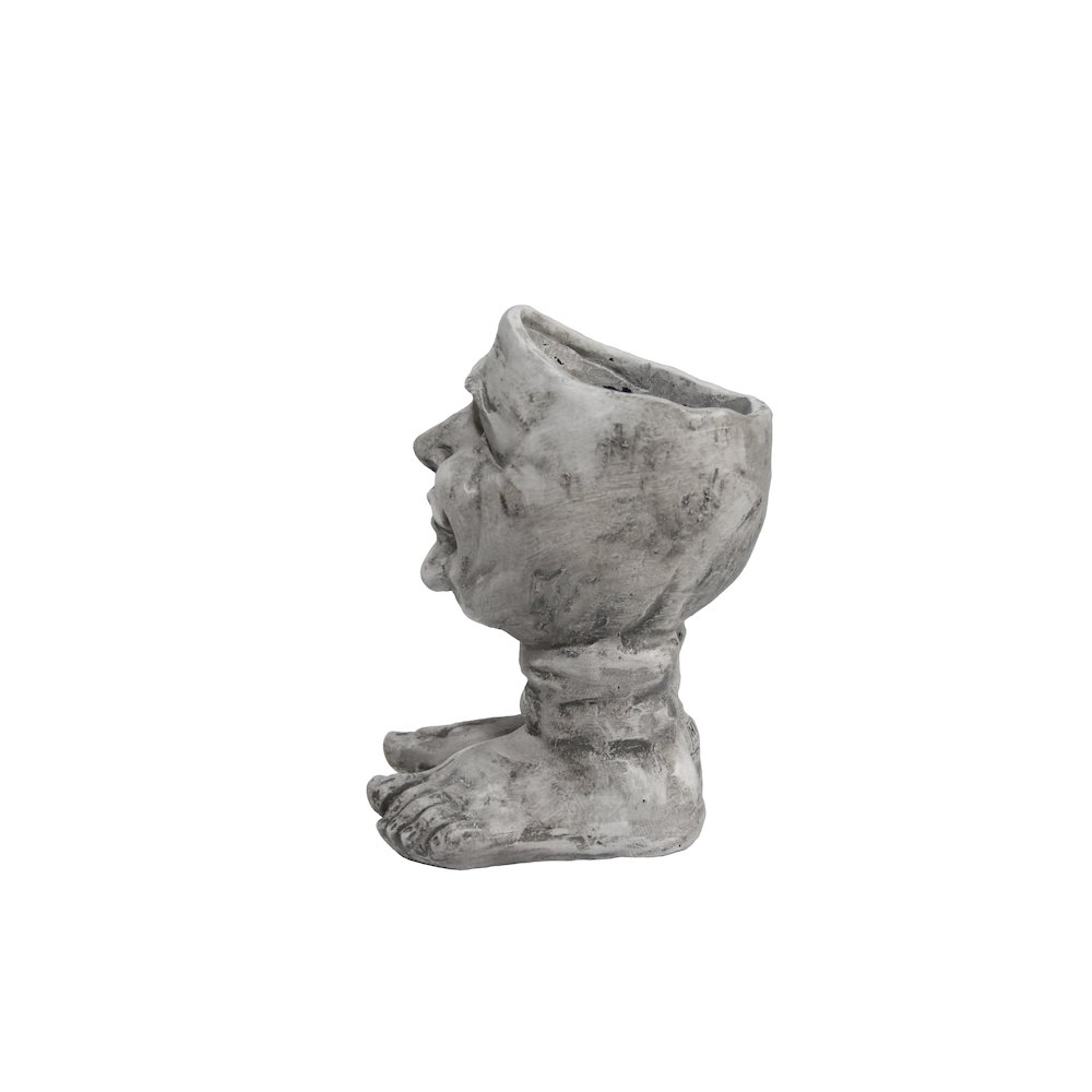 Joyful Grin: Whimsical Elegance in a Planter. Picture 5