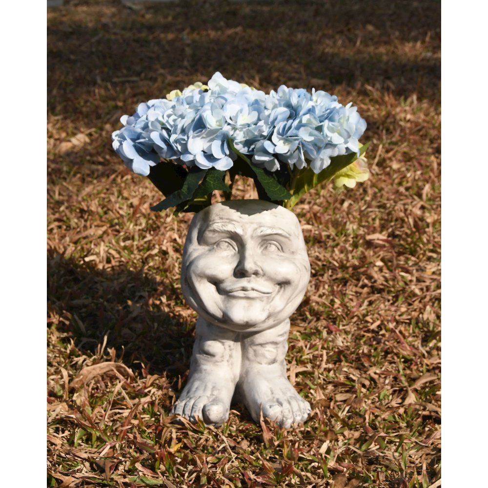 Joyful Grin: Whimsical Elegance in a Planter. Picture 2