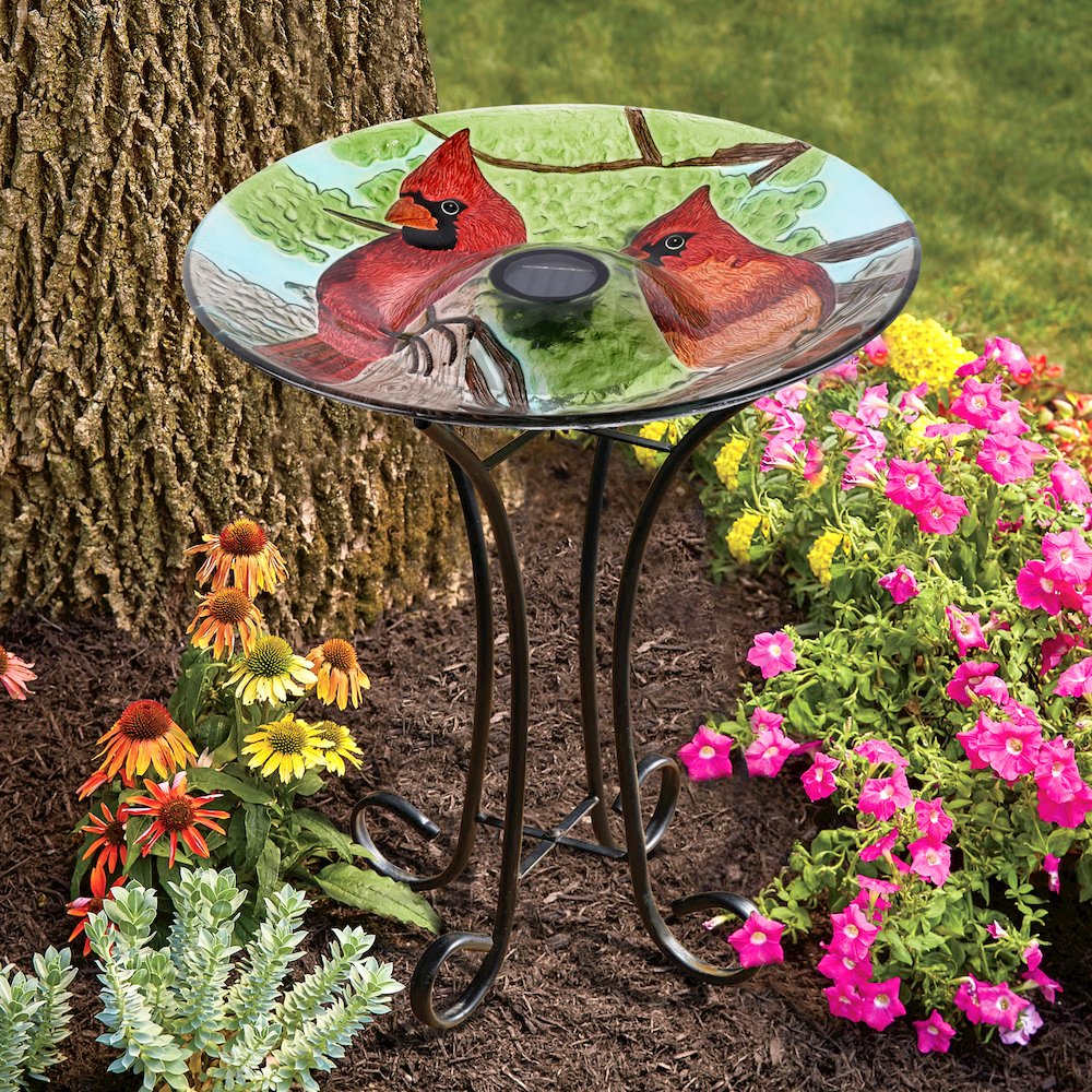 Solar LED Floral Glass Bird Bath with Stand - Cardinal. Picture 5