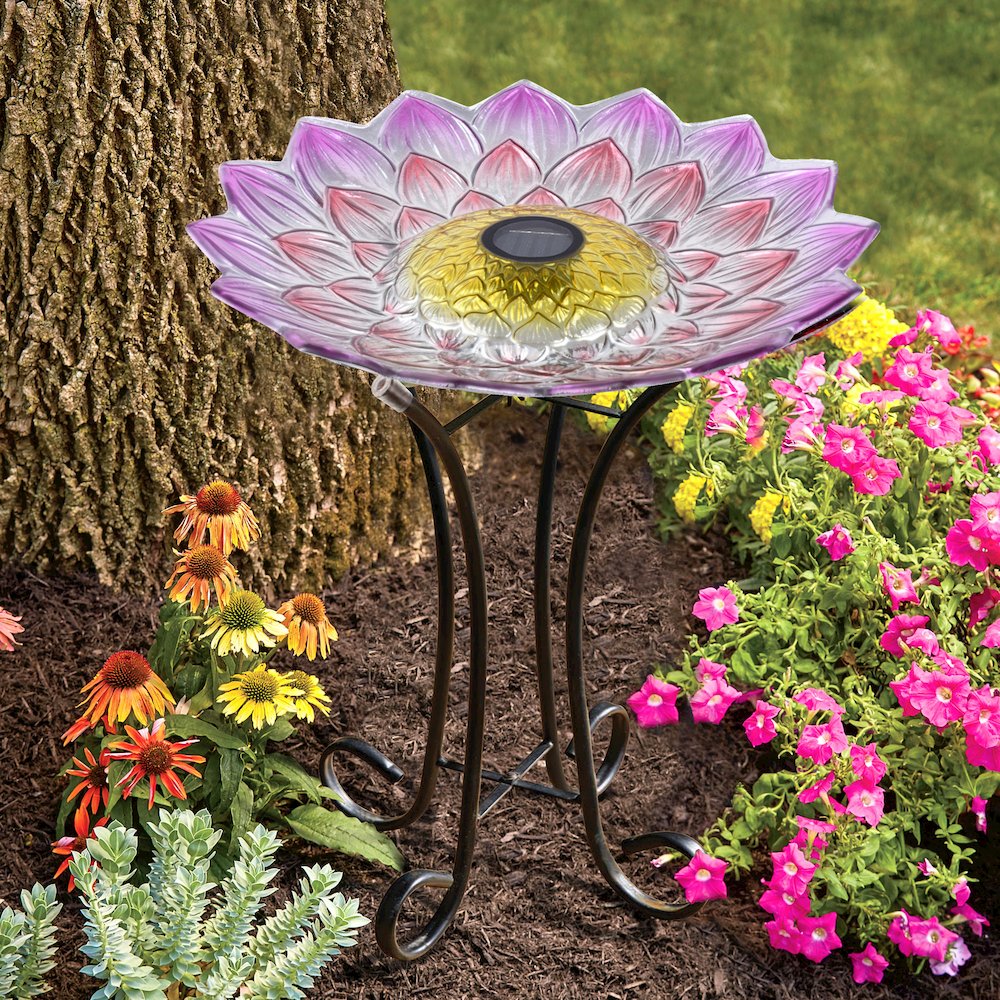 Solar LED Floral Glass Bird Bath with Stand - Pink Dahlia. Picture 5