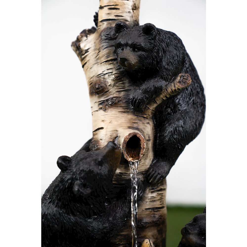 29In Black Bears Climbing Fountain. Picture 3