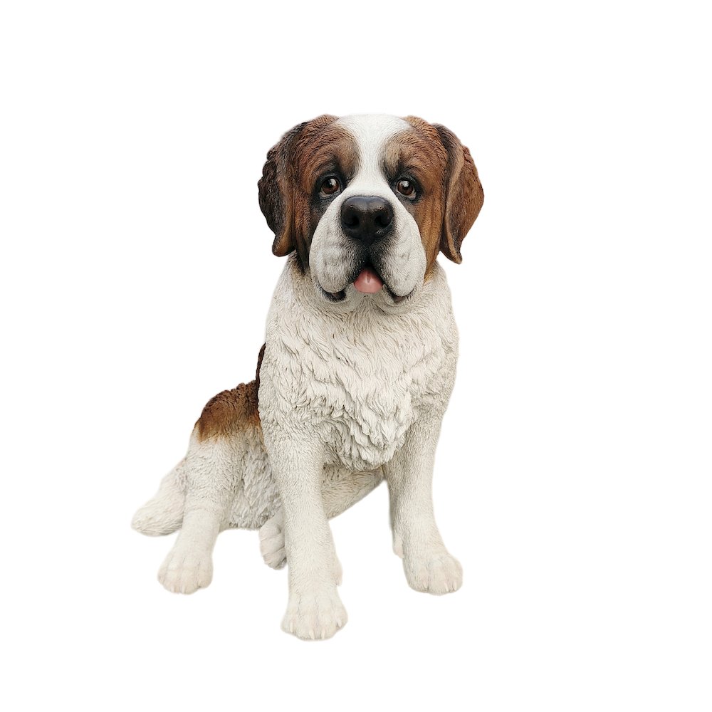 Alpine Guardian: Saint Bernard Polyresin Figurine in White and Brown. Picture 1