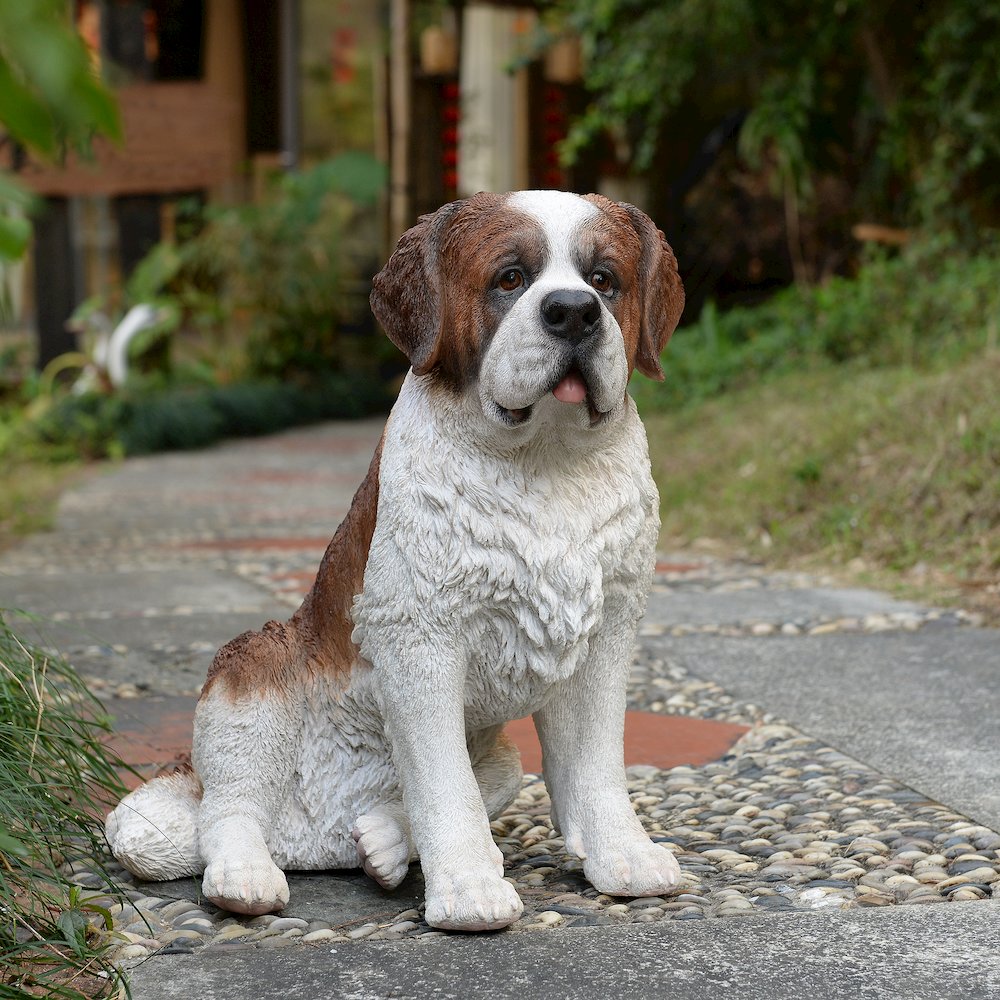 Alpine Guardian: Saint Bernard Polyresin Figurine in White and Brown. Picture 2