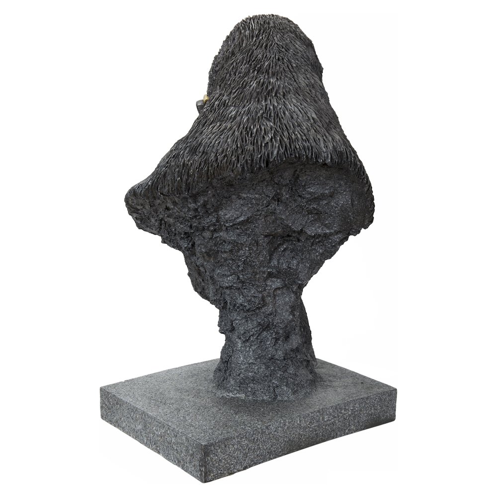 Gorilla Head with Golden Glasses. Picture 4