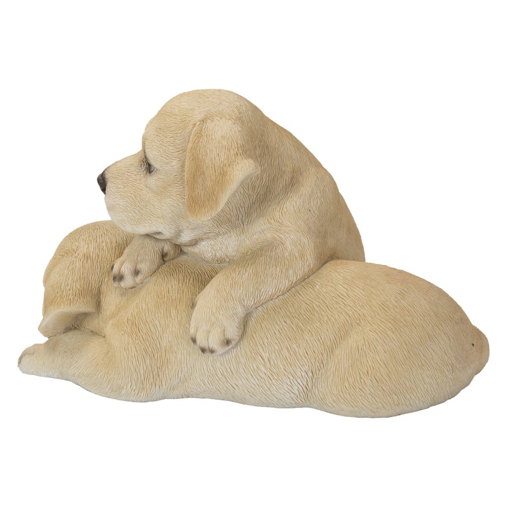 Baby Labradors Playing. Picture 1