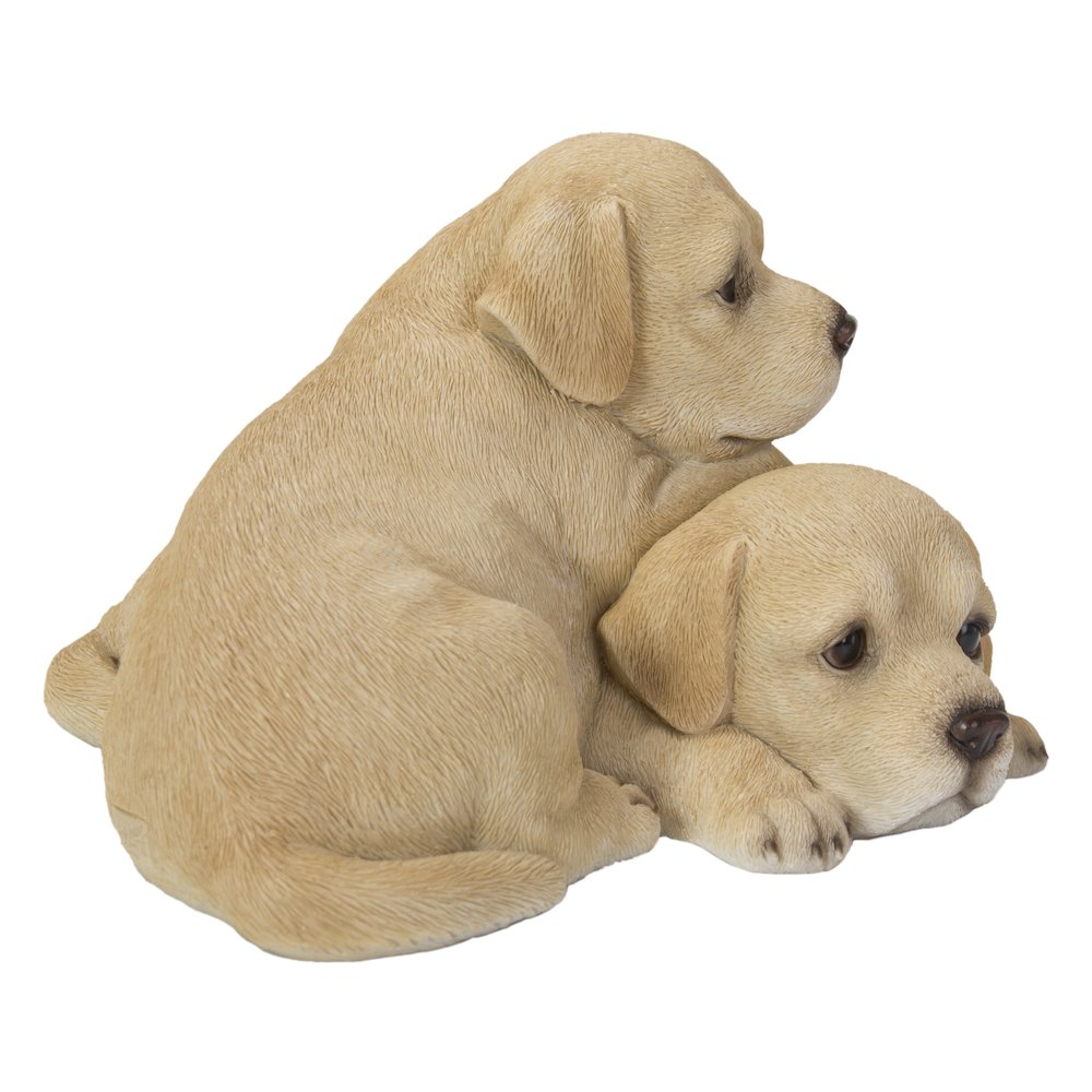 Baby Labradors Playing. Picture 3
