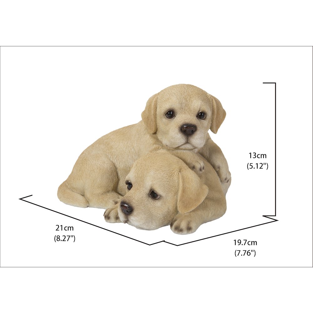 Baby Labradors Playing. Picture 4