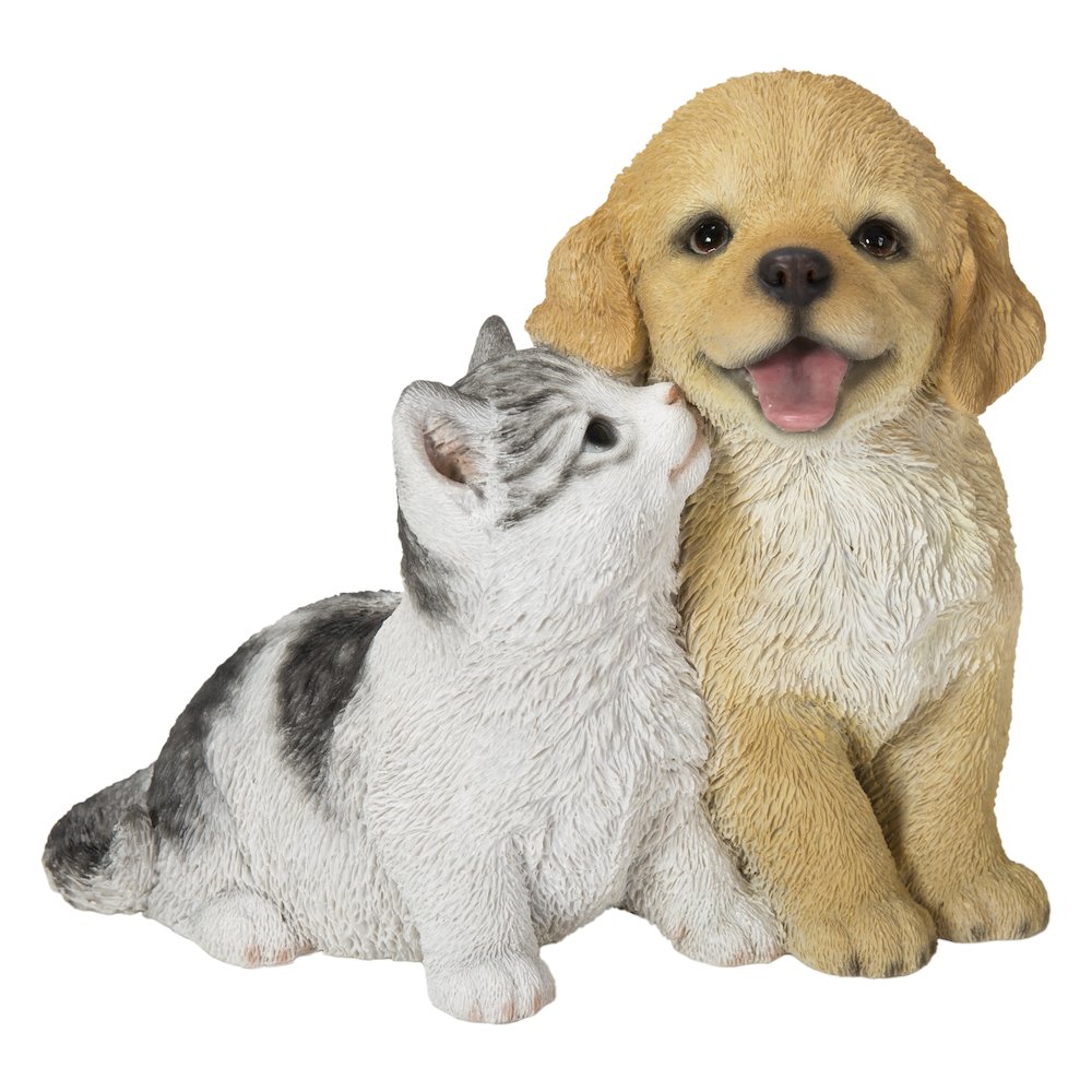 Golden Retriever & Kitten. Picture 2