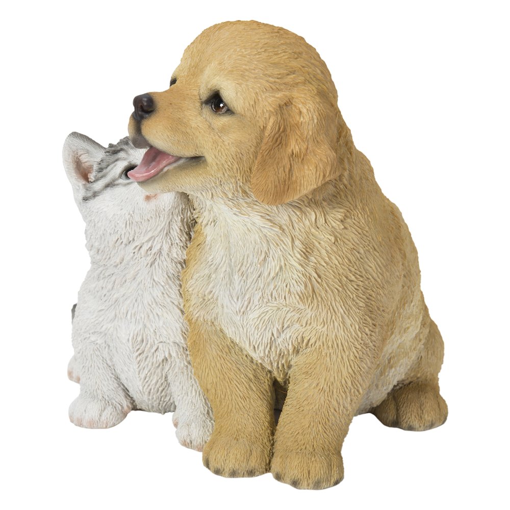 Golden Retriever & Kitten. Picture 4