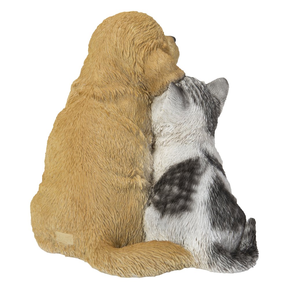 Golden Retriever & Kitten. Picture 1