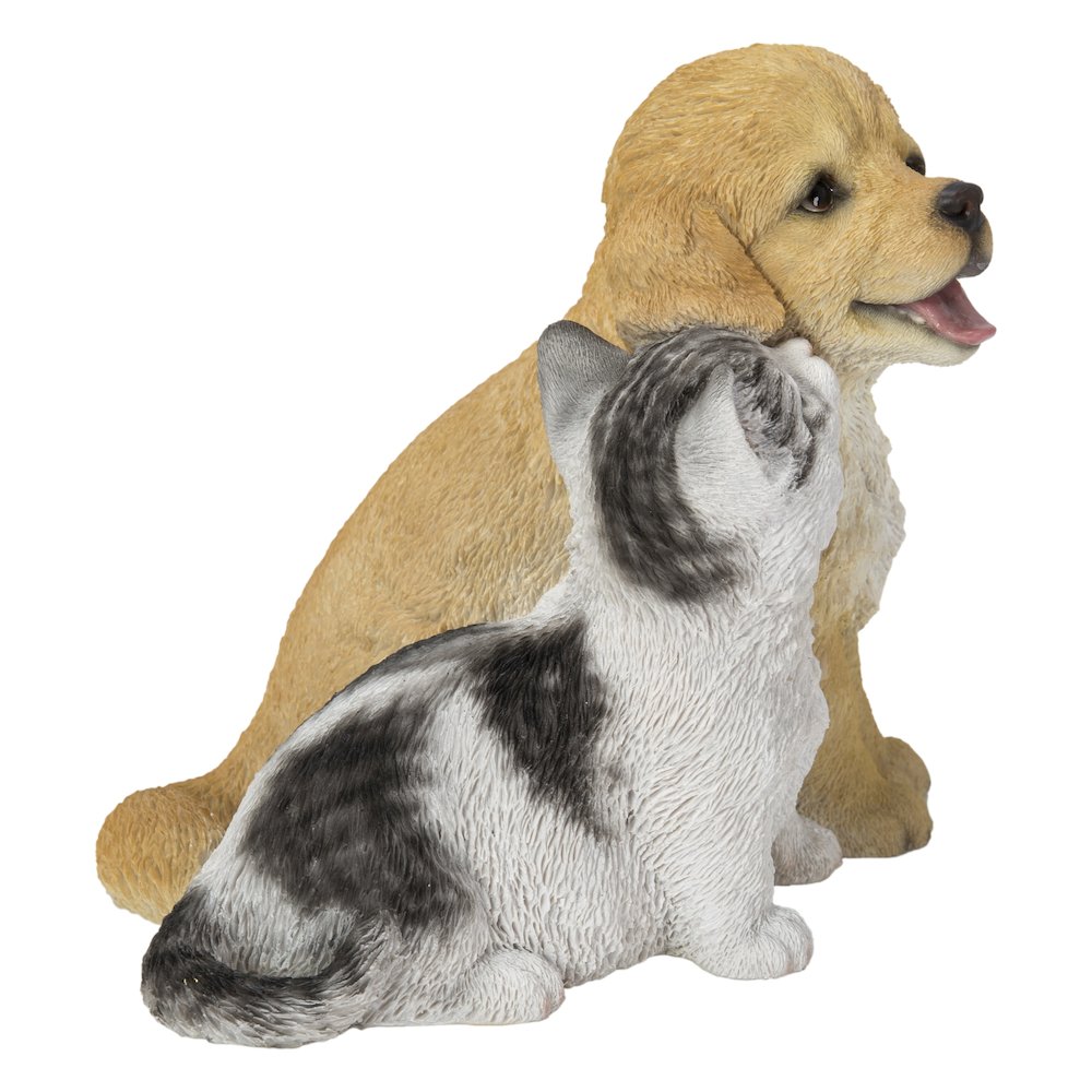 Golden Retriever & Kitten. Picture 3