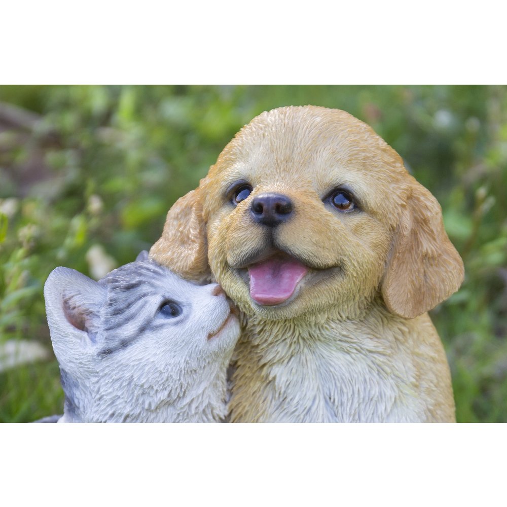 Golden Retriever & Kitten. Picture 5