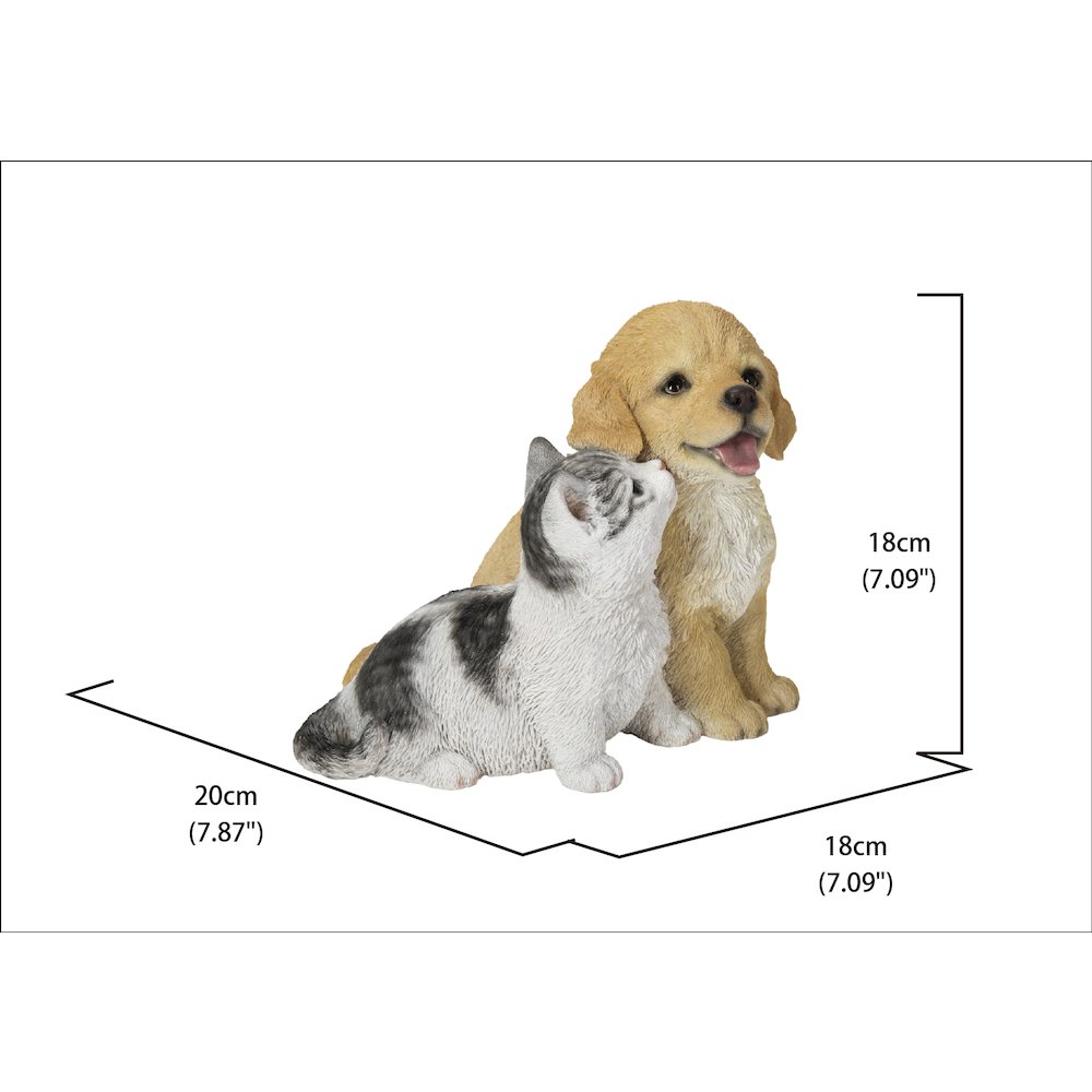 Golden Retriever & Kitten. Picture 6