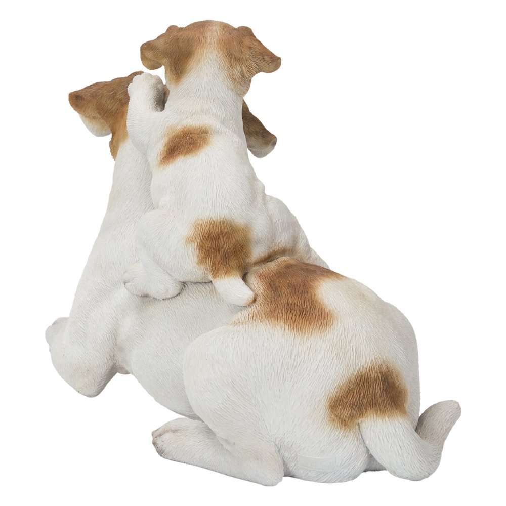 Mother & Baby Jack Russell. Picture 5