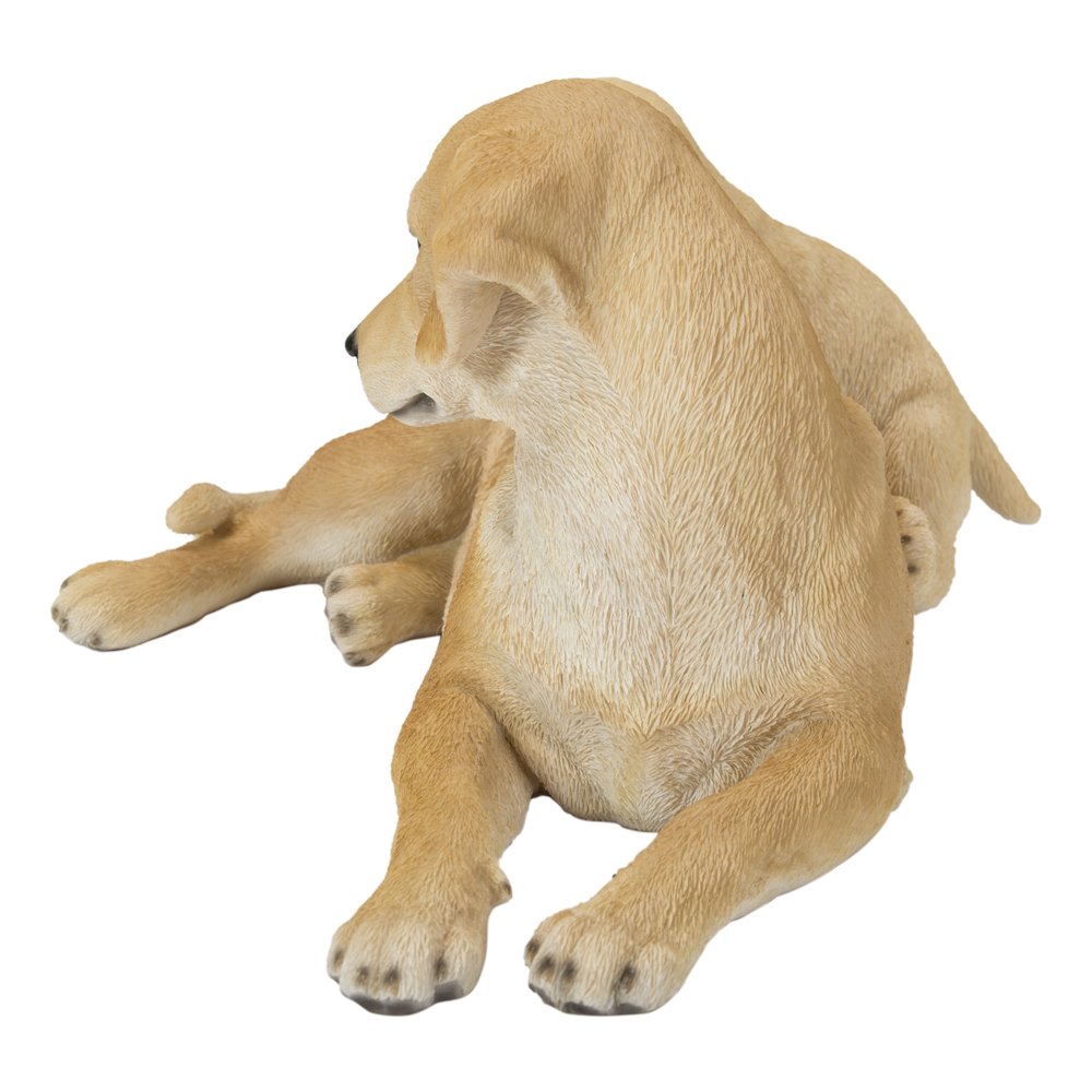Mother & Baby Labrador. Picture 3