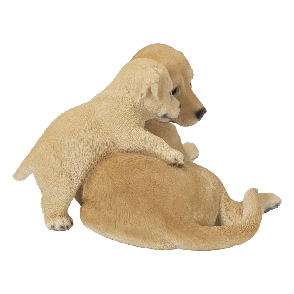 Mother & Baby Labrador. Picture 1