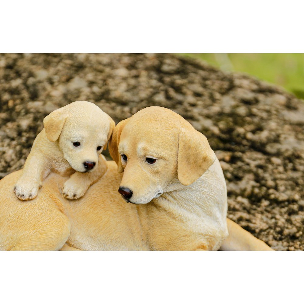 Mother & Baby Labrador. Picture 6