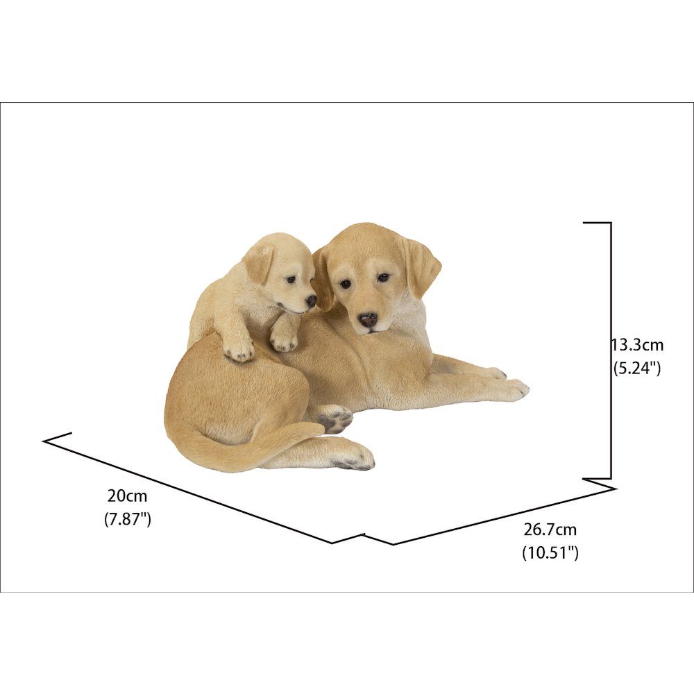 Mother & Baby Labrador. Picture 5