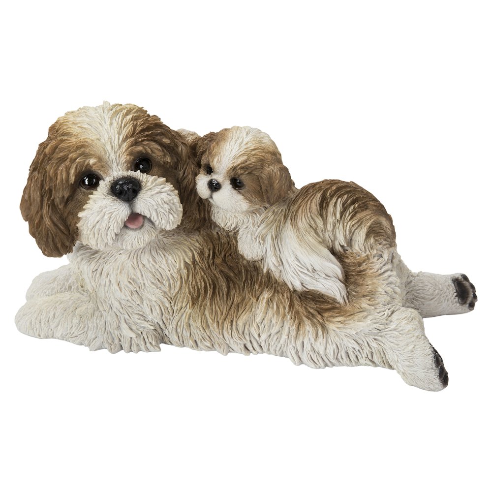 Mother & Baby Shih Tzu. Picture 2