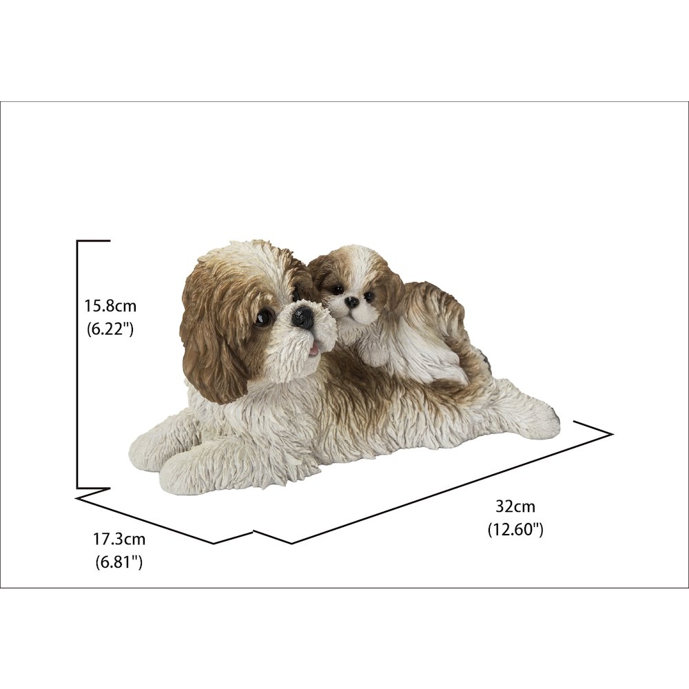 Mother & Baby Shih Tzu. Picture 5