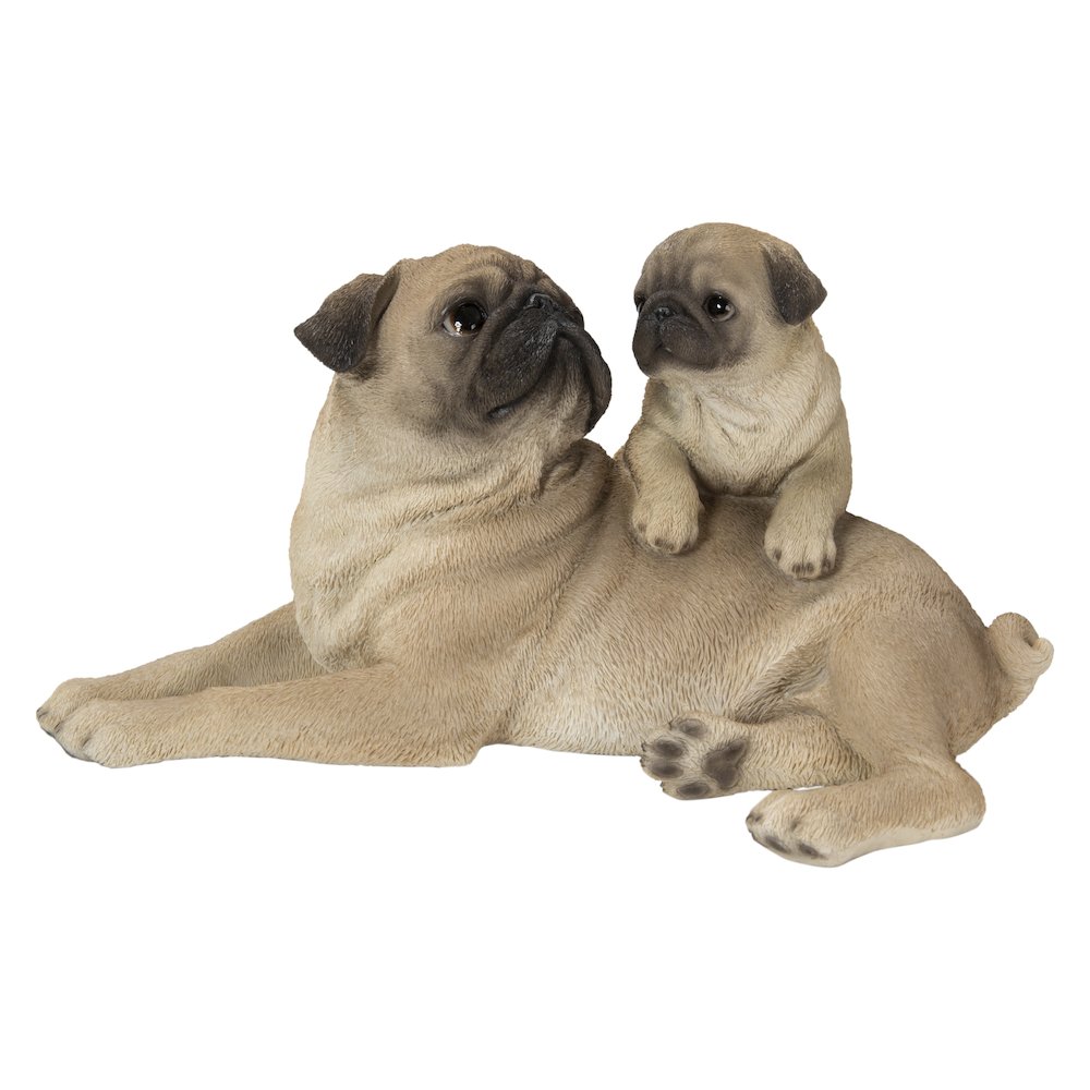 Mother & Baby Pugs. Picture 2