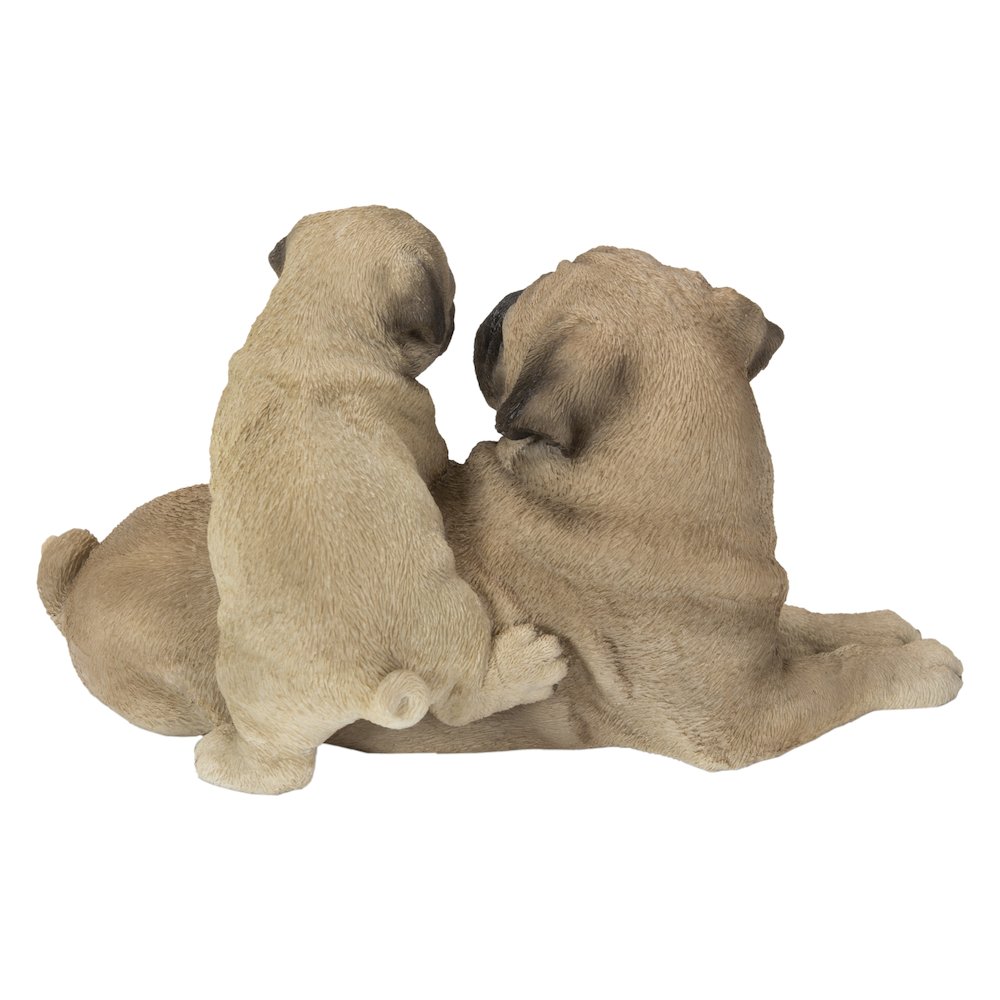 Mother & Baby Pugs. Picture 4