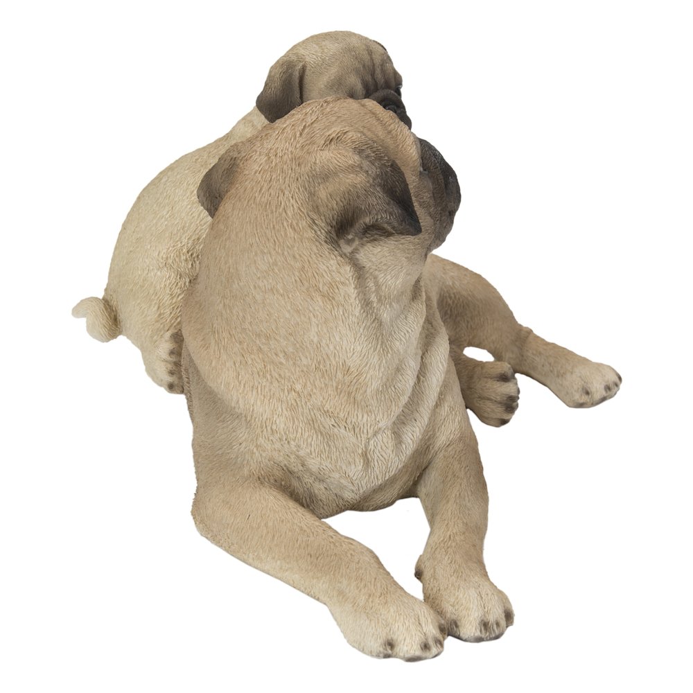Mother & Baby Pugs. Picture 1