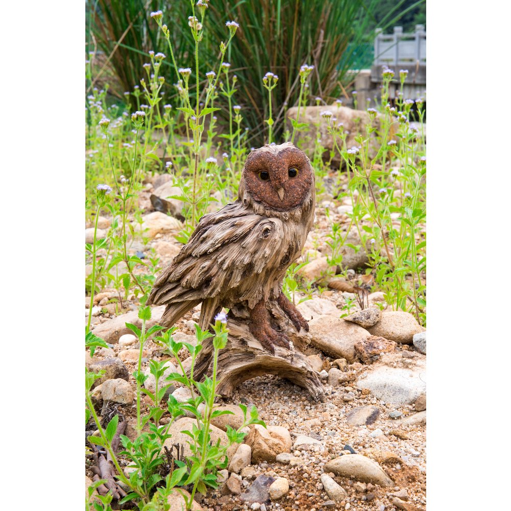 Driftwood Barn Owl On Stump Statue. Picture 6