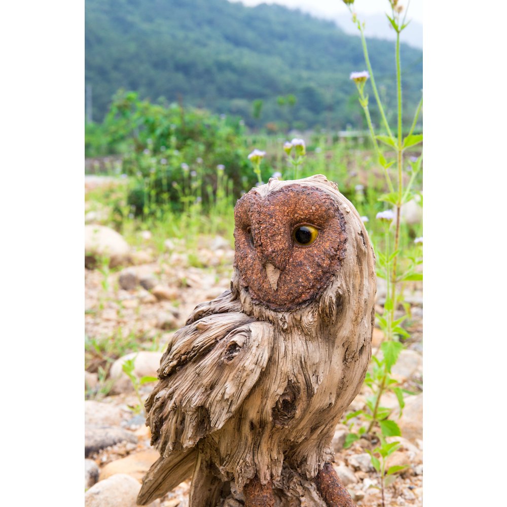 Driftwood Barn Owl On Stump Statue. Picture 7