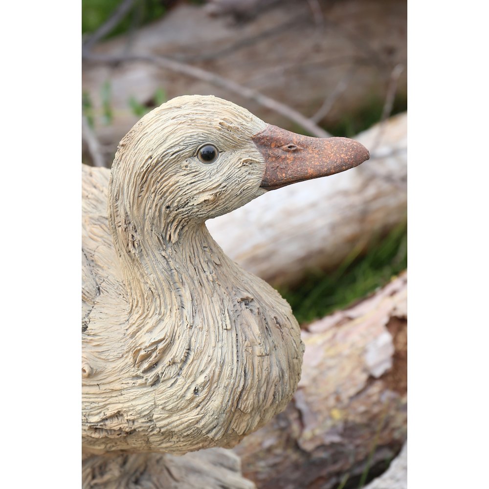 Duck Driftwood Look. Picture 6