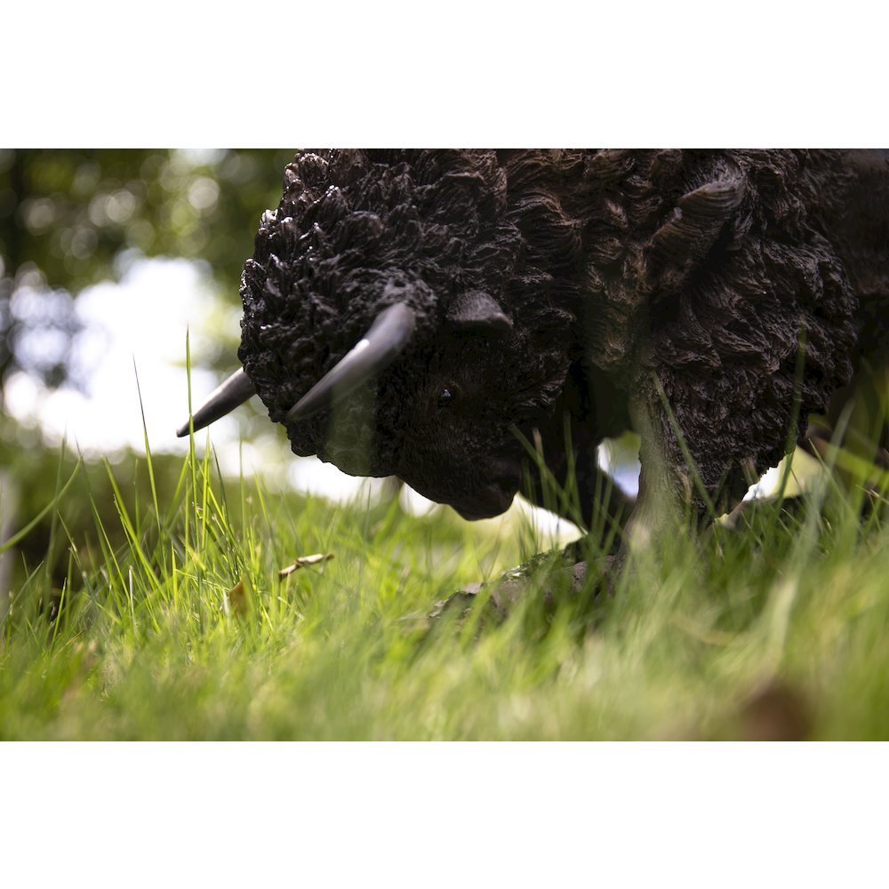 Bison Head Down - Large. Picture 5