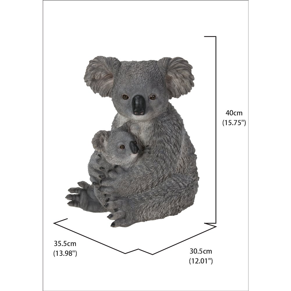 Mother & Baby Koala. Picture 5