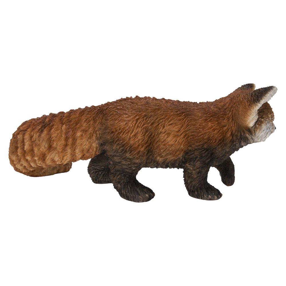 Red Panda Cub Walking. Picture 3