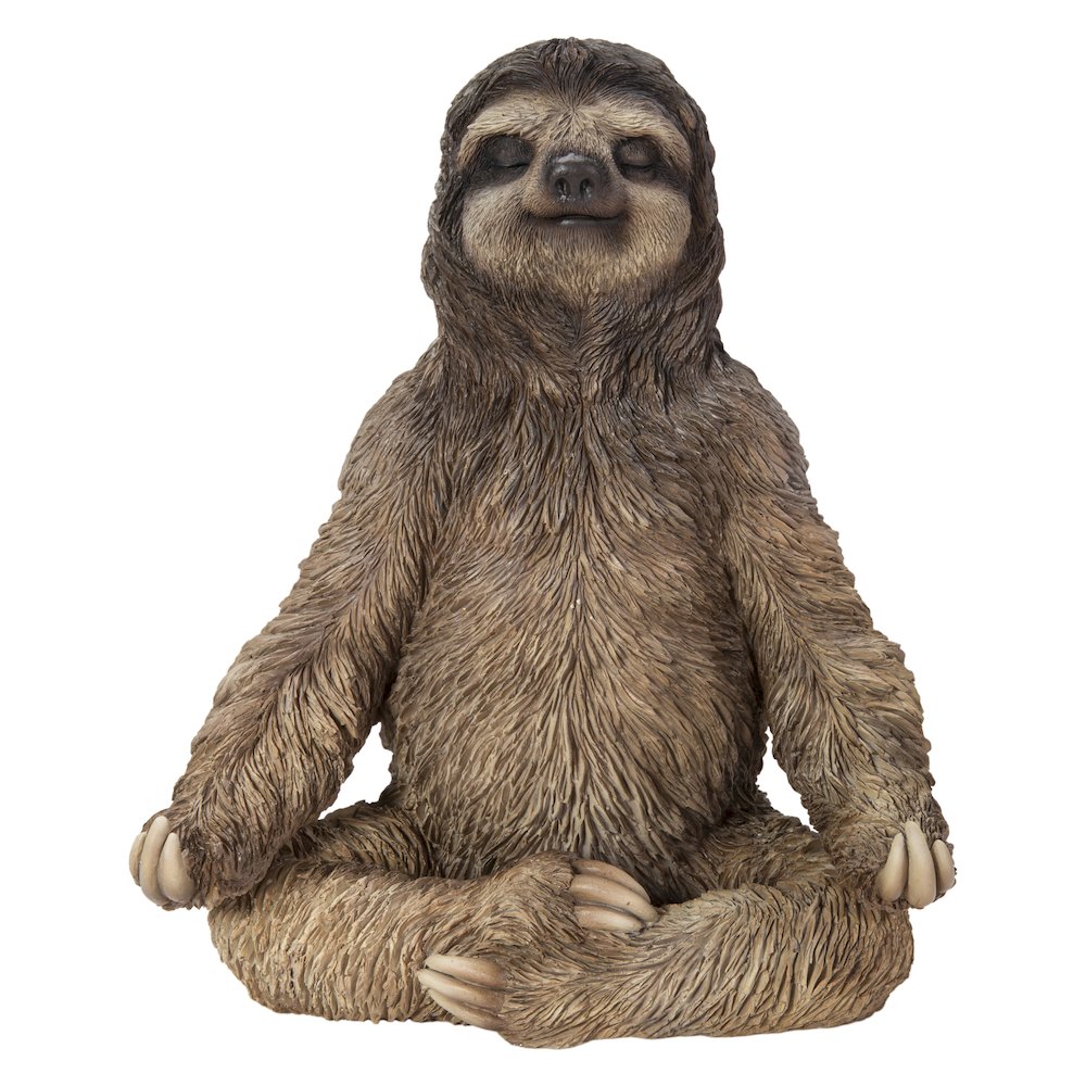 Sloth In Meditation. Picture 2