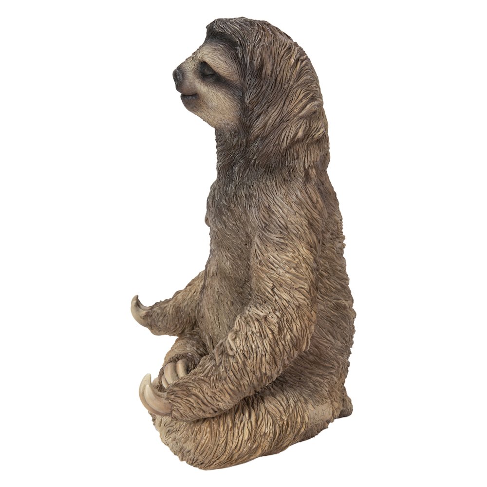 Sloth In Meditation. Picture 1