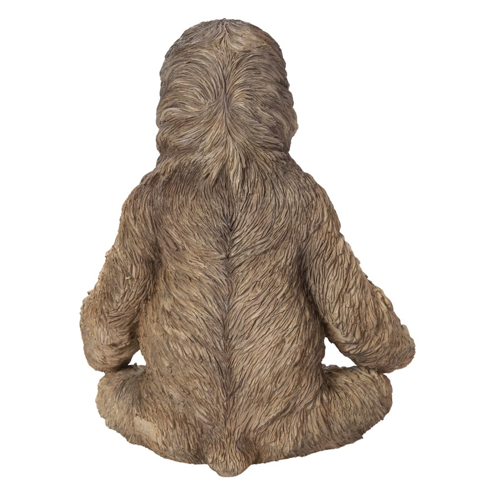 Sloth In Meditation. Picture 4