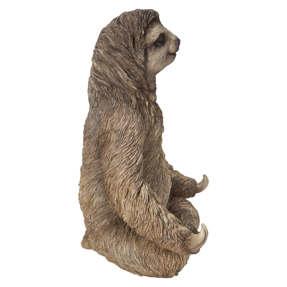 Sloth In Meditation. Picture 3