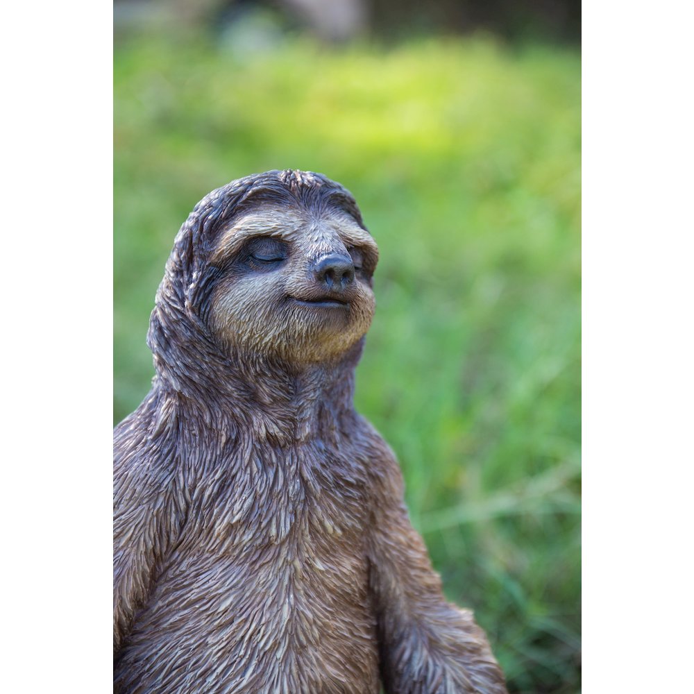 Sloth In Meditation. Picture 6