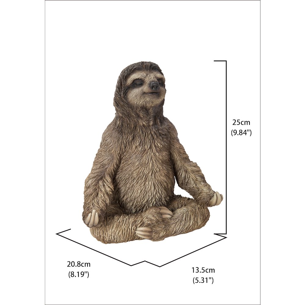 Sloth In Meditation. Picture 5