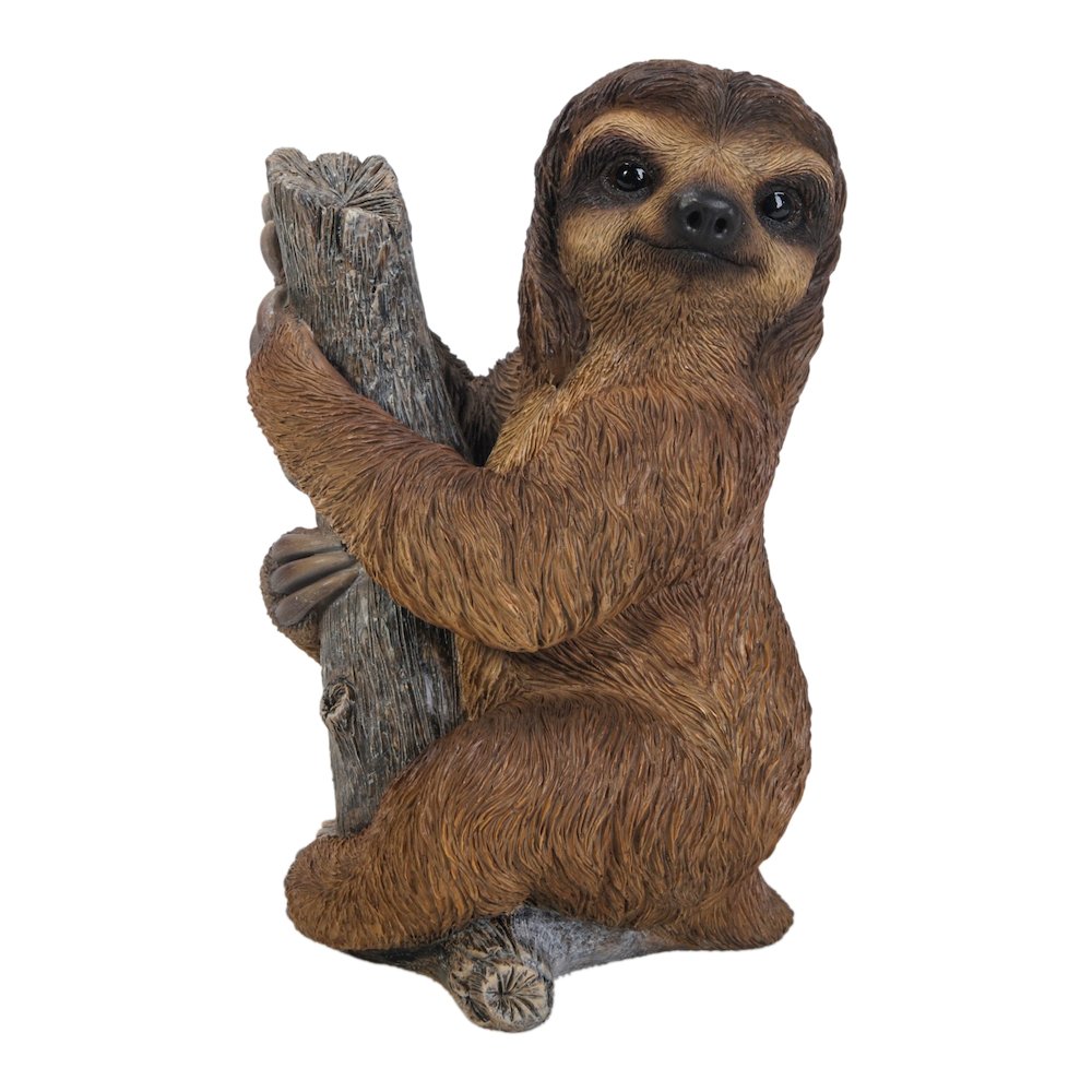 Pet Sloth. Picture 2