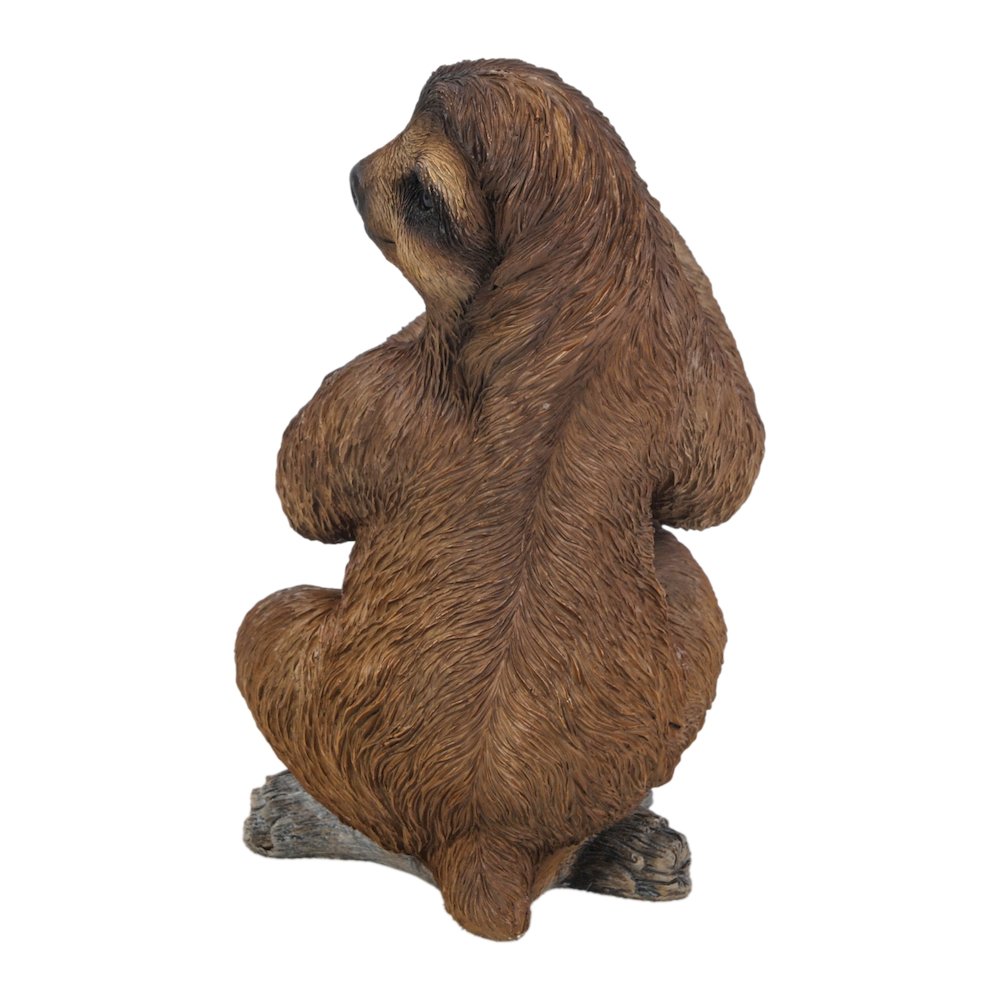 Pet Sloth. Picture 3